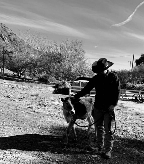 amanbeingaman pornostar kostenlose archiv