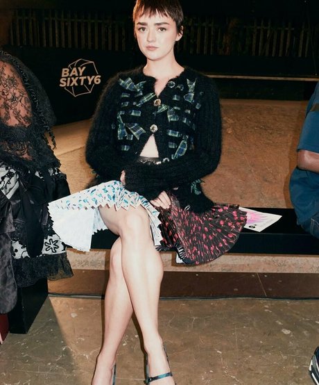 Maisie Williams beste kunst galerie