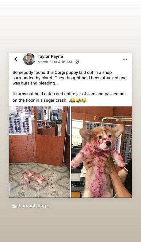 mark magnus420 pornostar nackten galerien