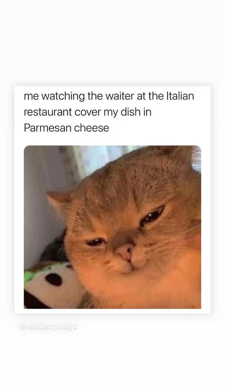 mark magnus420 erotische hübsche galerie