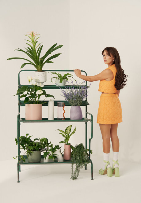 analreiten nur fans exklusive kunst archiv