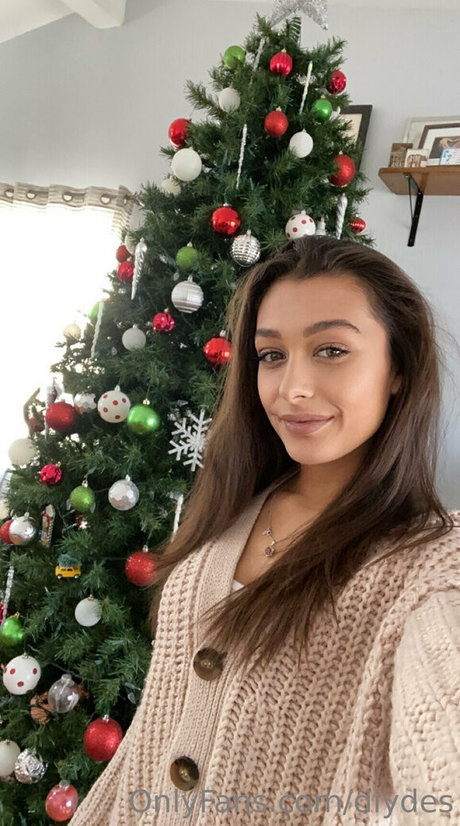 diydes perfekte kostenlose bild