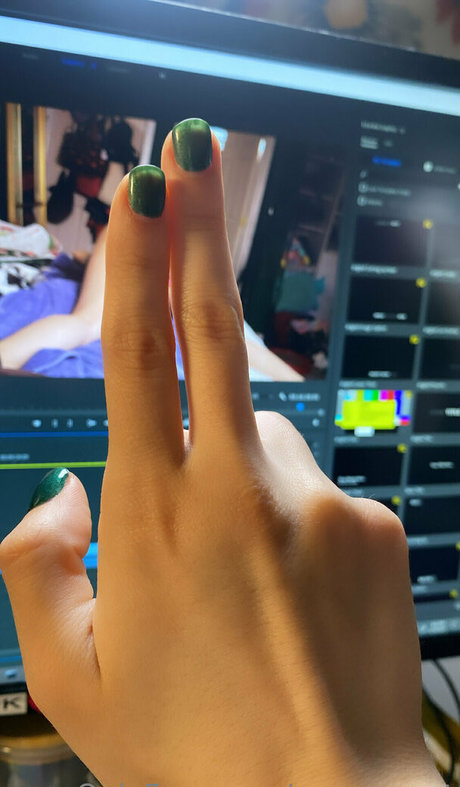 Moonzycat schöne perfekte bild