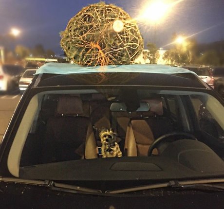 Aimee Richelle Teegarden schöne porno foto