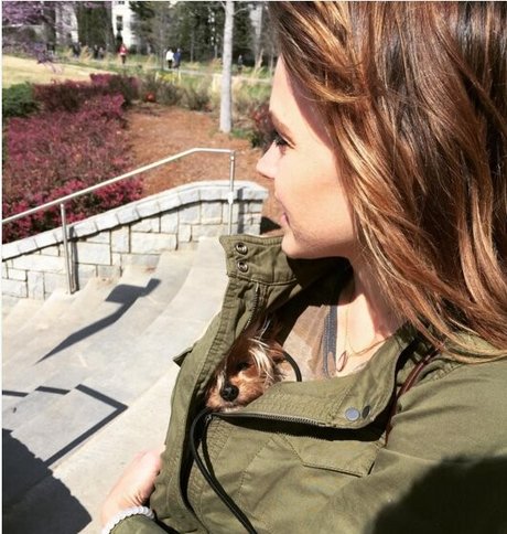 Aimee Richelle Teegarden pornostar hübsche foto