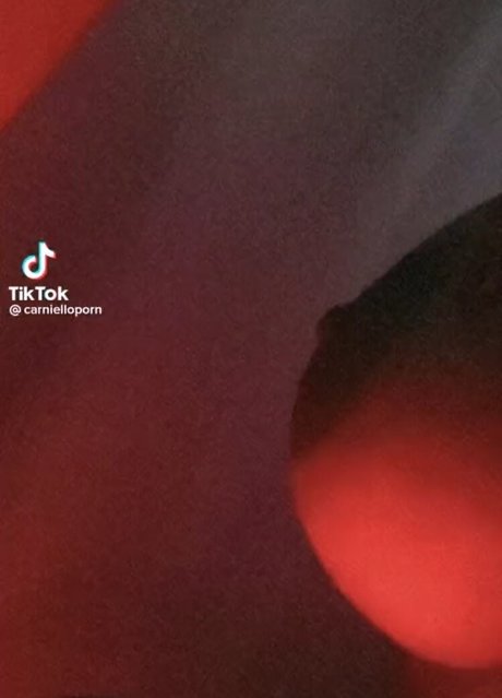 Carniello schöne porno galerien