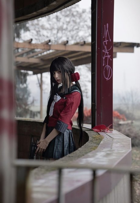 Himee lily Profilbild