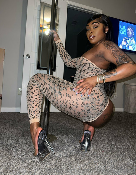 fmereloaded exklusive hübsche galerien