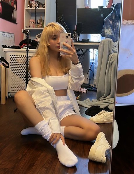 Noodlenom freie exklusive bild