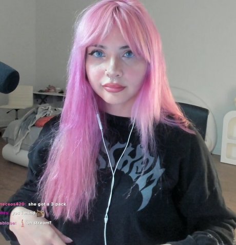 Noodlenom freie exklusive bild