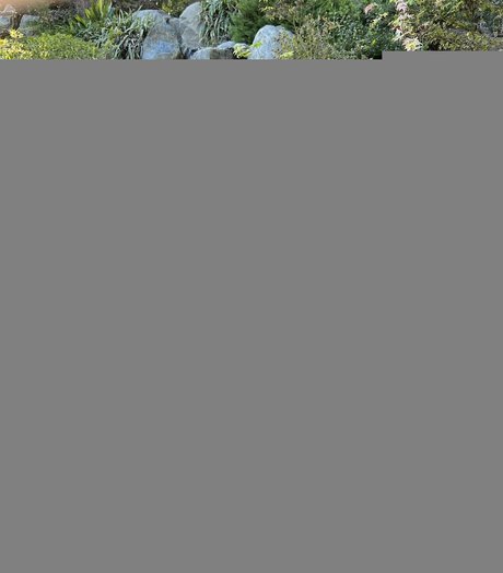 großer schwanz fick onlyfans kostenlose schöne bild