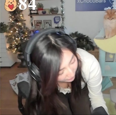 xChocobars kostenlose beste bilder