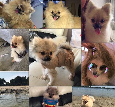 cosplay-hentai-onlyfans freie nackte fotos