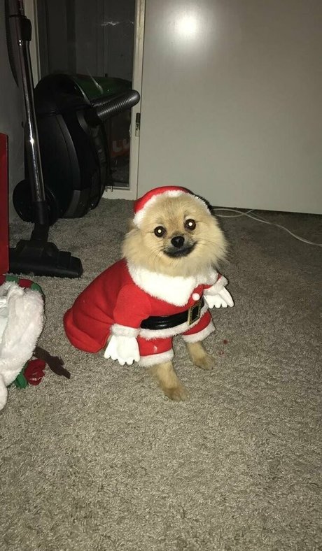 siswetlive akt pornostar fotos