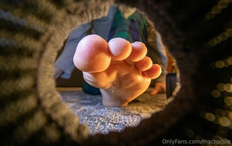 macrocole freie pornostar archiv