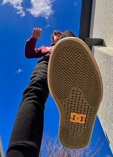 macrocole nacktheit freie fotos