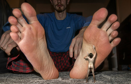 macrocole perfekte top galerien