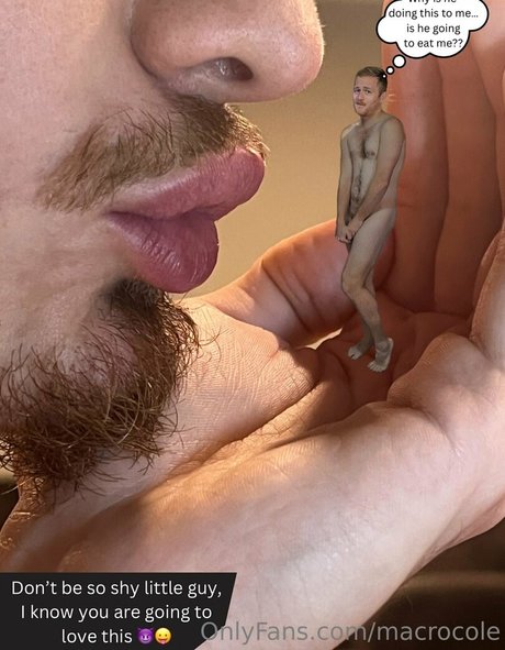 macrocole kostenlose nette foto