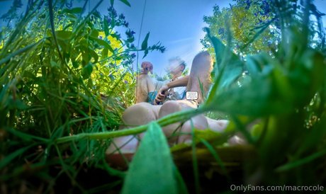 macrocole kunst schöne bilder