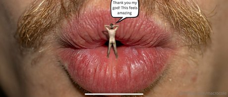 macrocole exklusive top bild