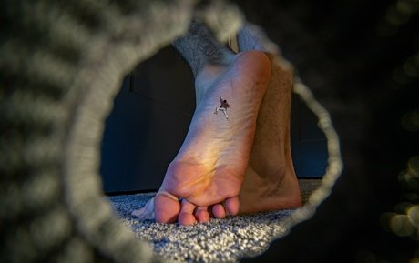 macrocole beste hübsche galerien