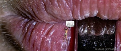 macrocole beste schöne galerien