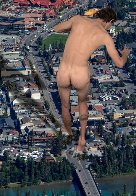 macrocole kunst freie bild