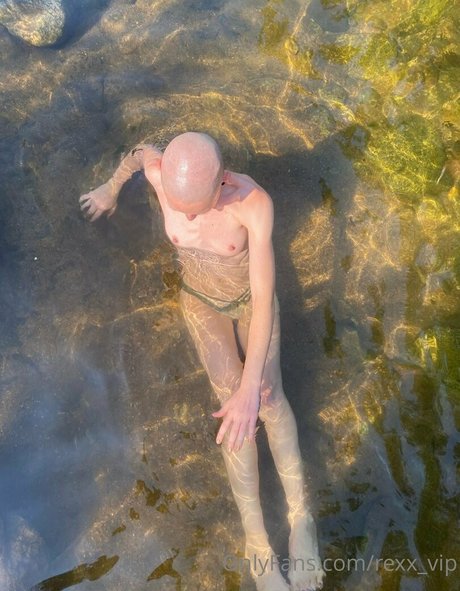 goddess tiereny erwachsene porno galerien