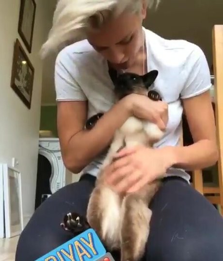 Wallis Day hd galerien