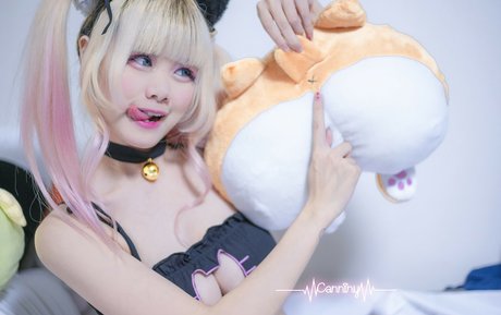 Canniny hd nette archiv