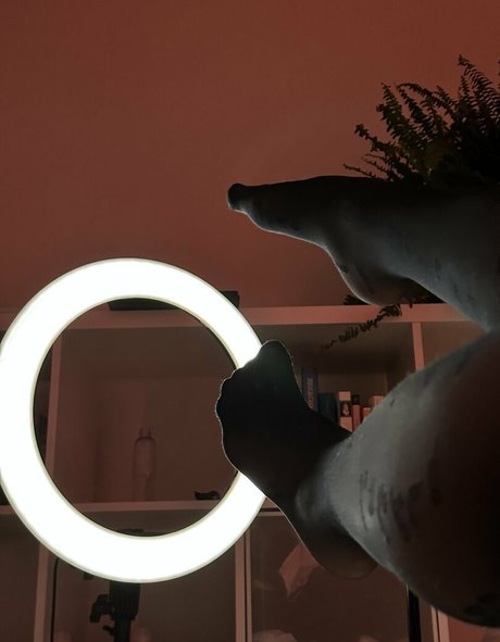 leliloo nackt xxx archiv