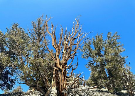 havefaithinmebabe model nackt foto