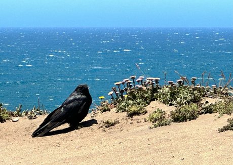 havefaithinmebabe exklusive akt galerien