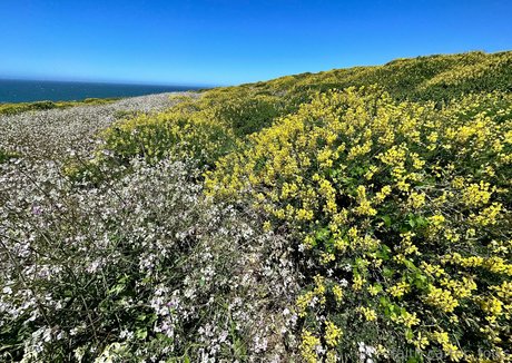havefaithinmebabe erotische schöne bild
