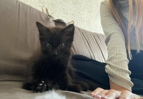 kategolden top kostenlose fotos