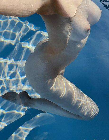 sia siberia free top schöne fotos