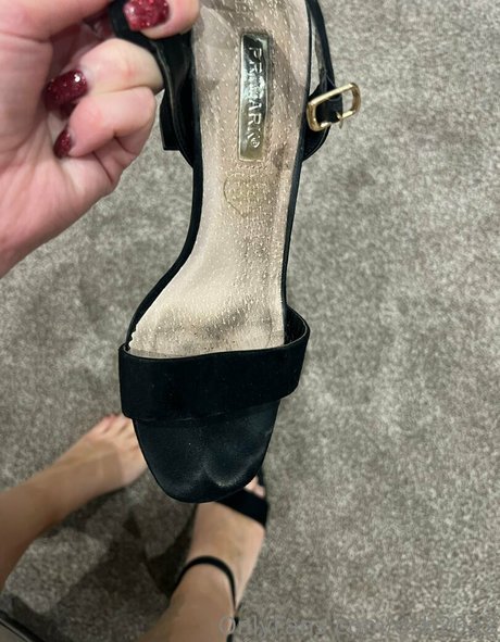 dsb2022 pornostar perfekte galerien