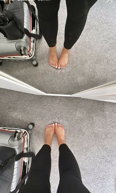 Decadex exklusive kunst galerien