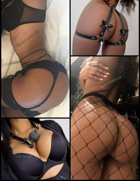 vinny bun perfekte akt archiv