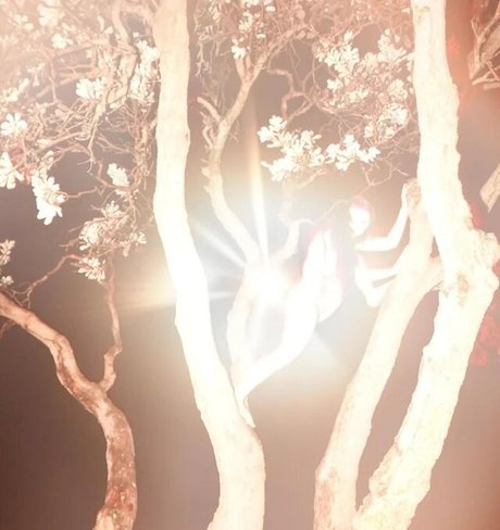 Zheani Sparkes xxx schöne foto