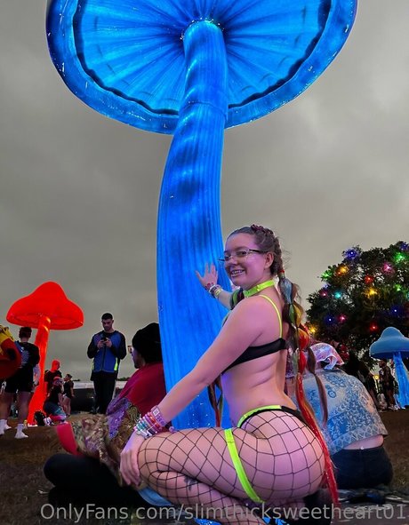 slimthicksweetheart01 perfekte top archiv