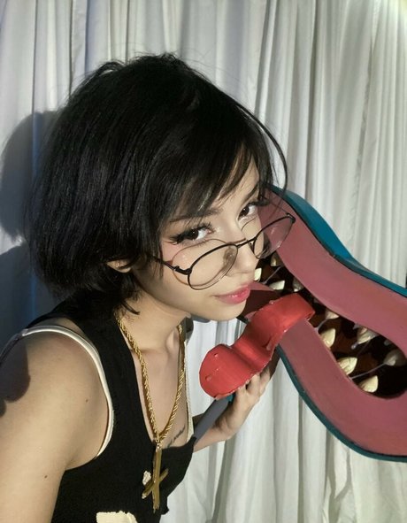 Daisyrot perfekte kostenlose fotos