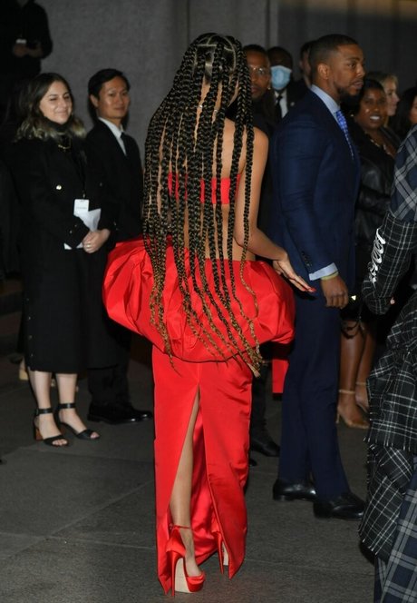 Zendaya xxx pornografische galerie