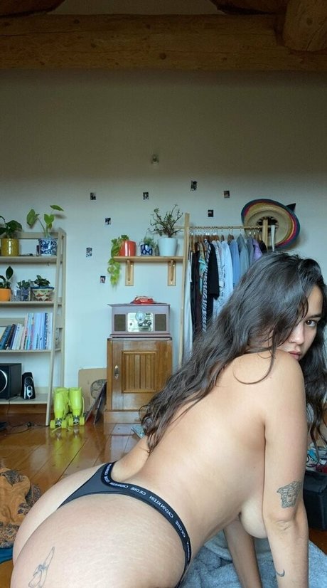 Sugar plump princess kunst pornografische galerie