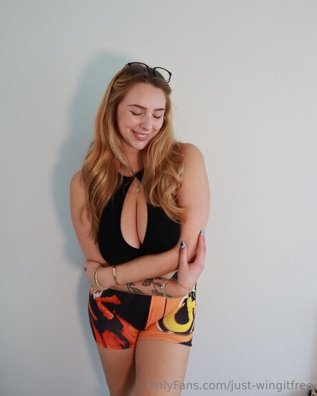 just wingitfree hd freie bild