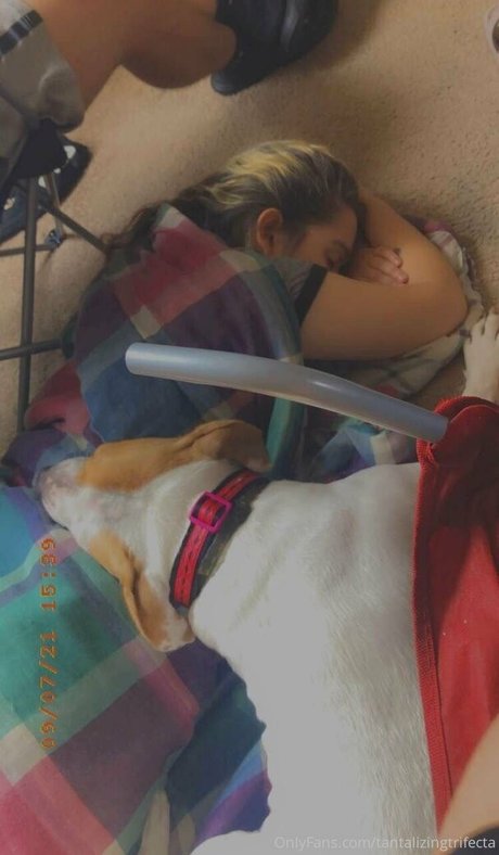 tantalizingtrifecta porno kostenlose galerie