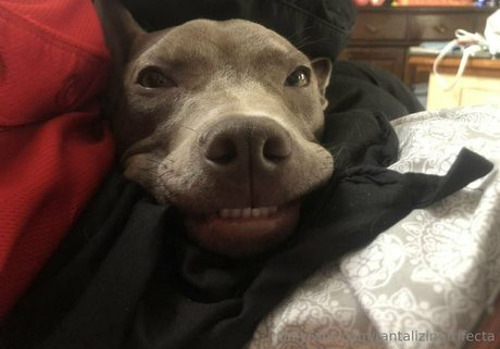 tantalizingtrifecta exklusive nackte foto