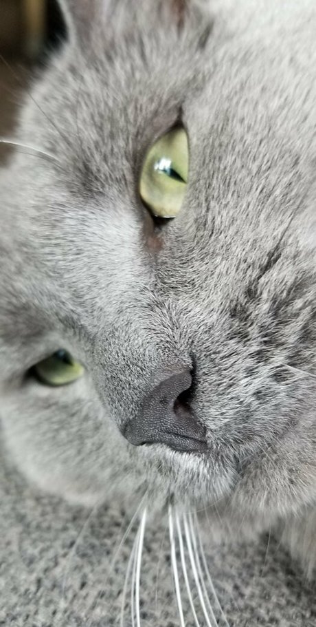 andromedanekoclub erwachsene pornographische archiv