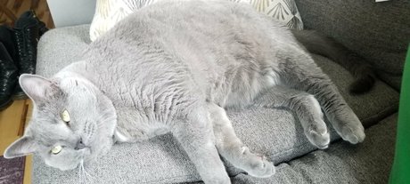 andromedanekoclub heiße galerien