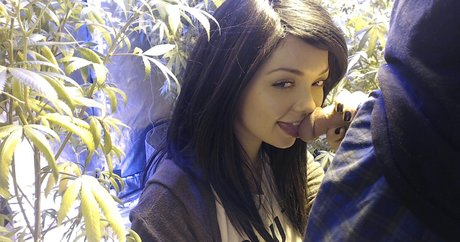 Soyacide perfekte pornostar archiv